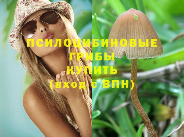 синтетический гашиш Нефтекумск