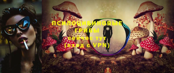 МДПВ Нея
