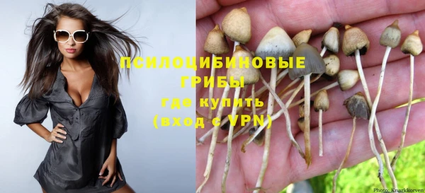 альфа пвп Баксан