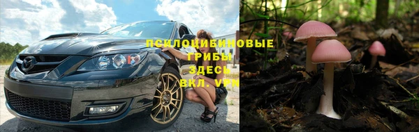 ПСИЛОЦИБИНОВЫЕ ГРИБЫ Белокуриха